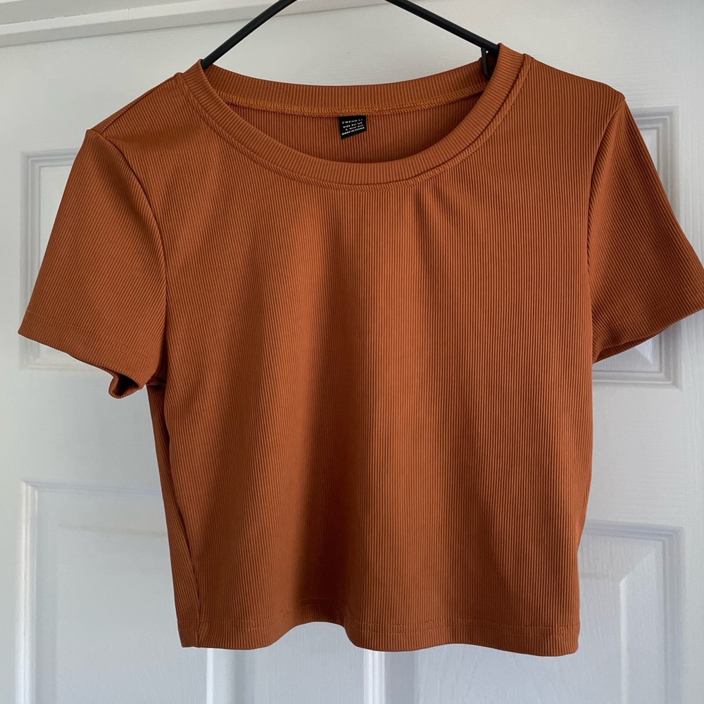 Fresral Cropped, Ribbed, Fitted Short Sleeve Tee, Large, Burnt Orange